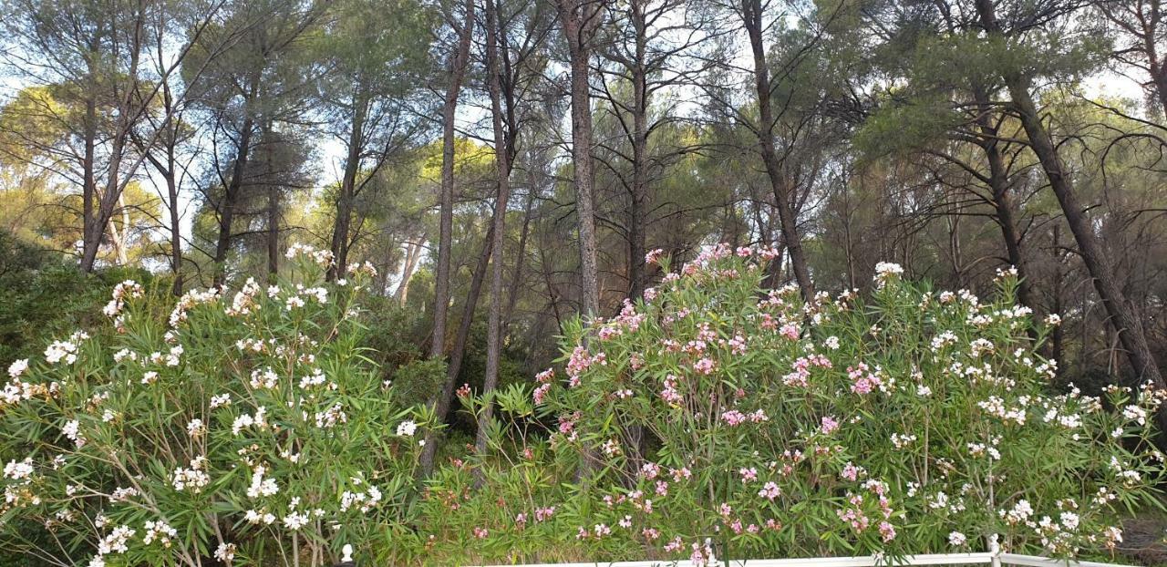 La Teze Villa Le Castellet  Kültér fotó