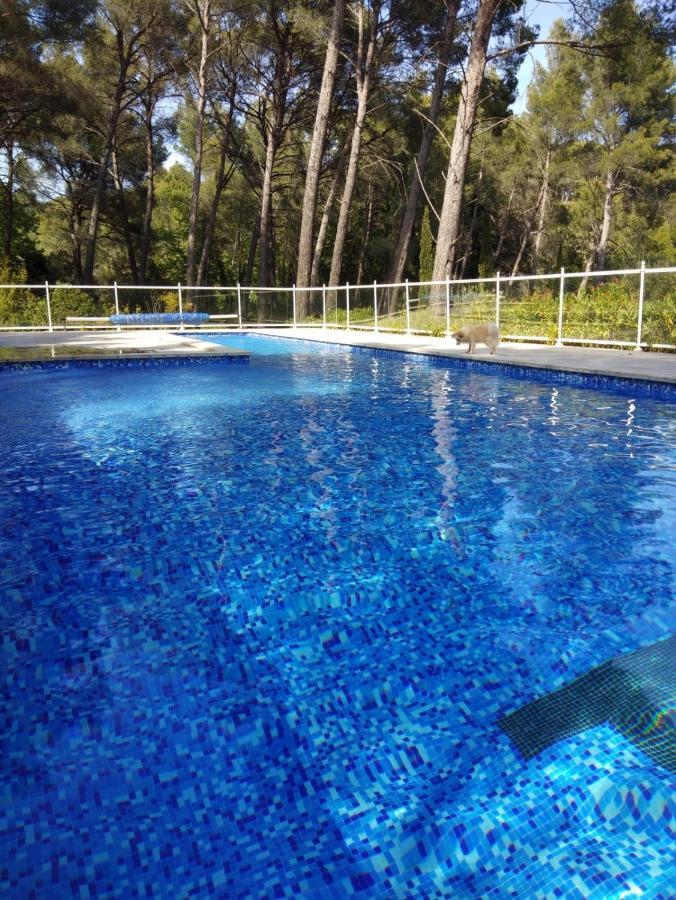 La Teze Villa Le Castellet  Kültér fotó